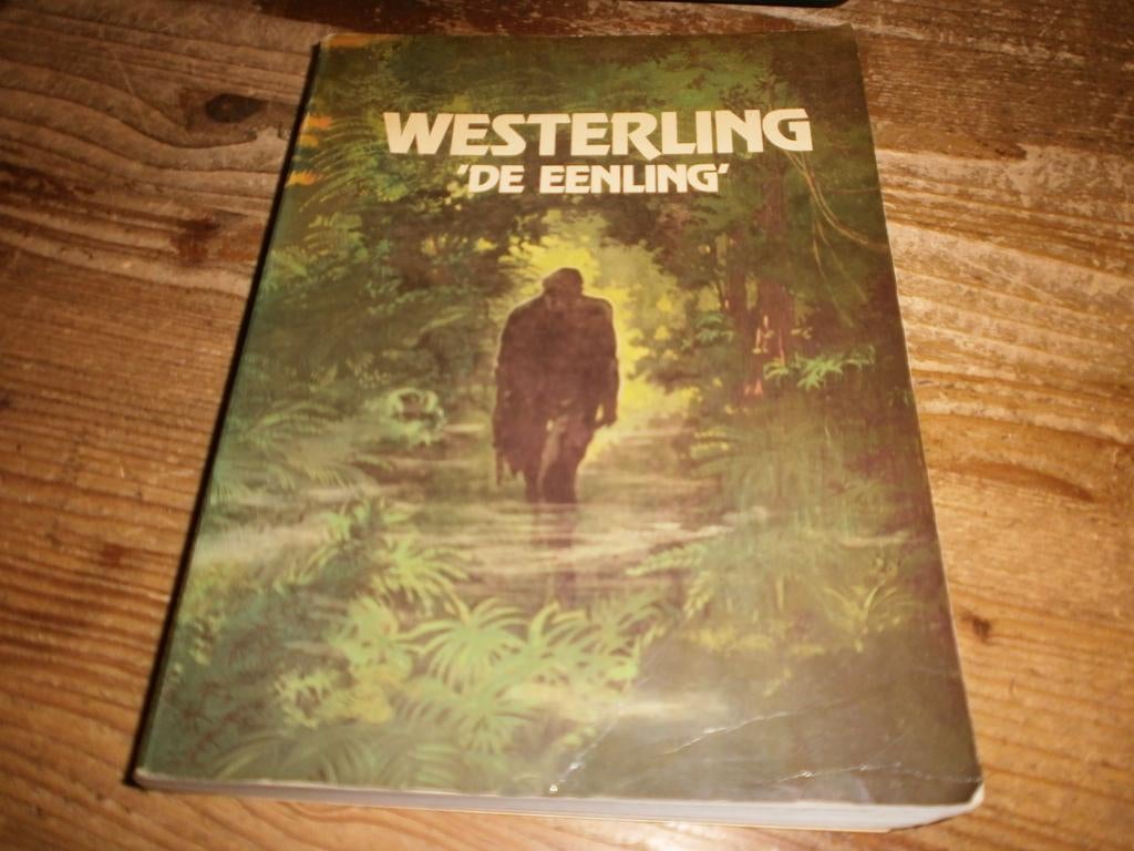 raymond westerling de eenling biografie 1ste druk uitg spoor, Boeken, Ophalen of Verzenden, Tweede Wereldoorlog, Gelezen, Overige onderwerpen