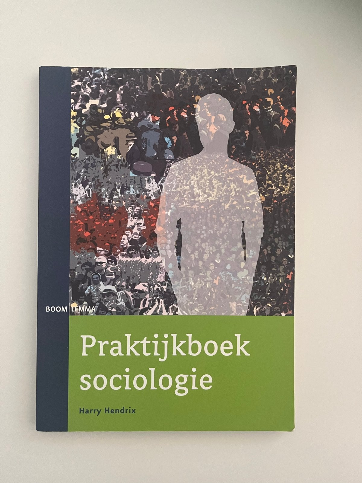 Praktijkboek sociologie - Harry Hendrix, Boeken, Ophalen of Verzenden, Gamma, Zo goed als nieuw, HBO