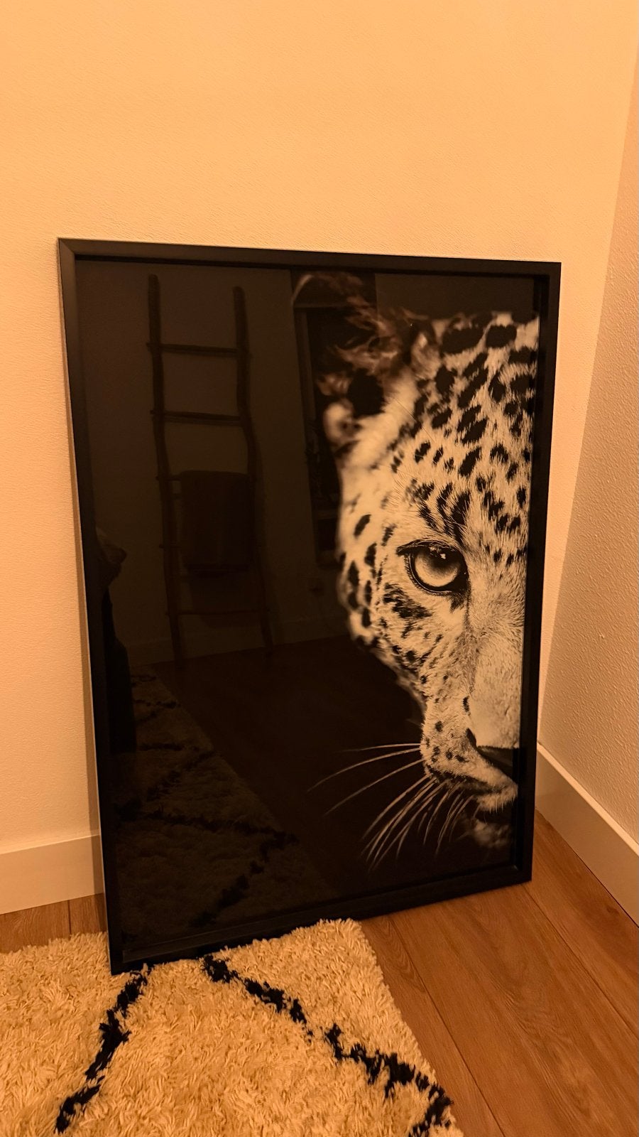 Maison Coco Cheetah, Ophalen, Foto, Fotografie, Ingelijst