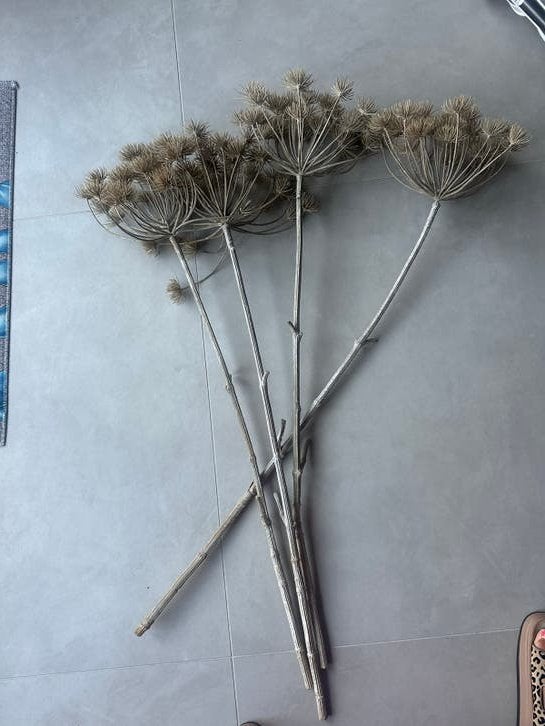 4 kunstbloemen berenklauw, Beige, Verzenden, Natuurlijk materiaal, Landelijk
