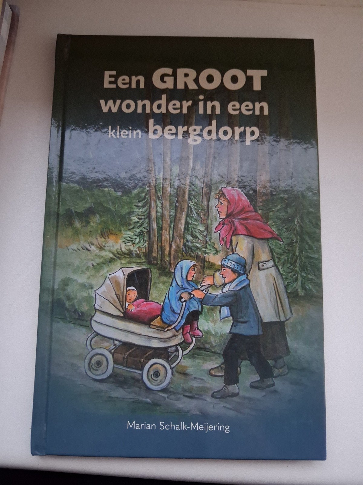 een groot wonder in een klein bergdorp, Boeken, Fictie algemeen, Ophalen of Verzenden, Zo goed als nieuw, Marian Schalk-Meijering