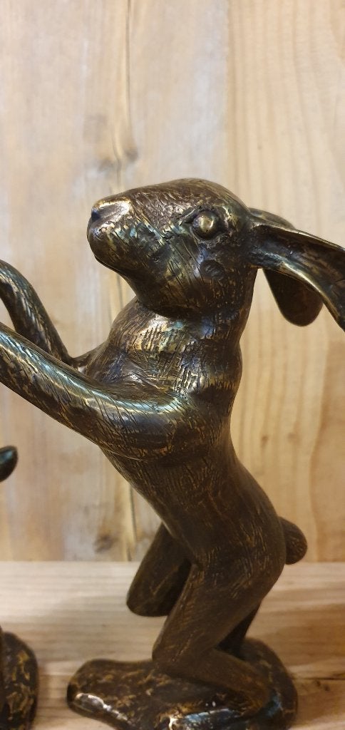 HAZEN / RAMMELAARS / bronzen beeld, Nieuw, Info@huisentuindecoratiemarie.nl, Huis en tuin decoratie marie, Dierenbeeld