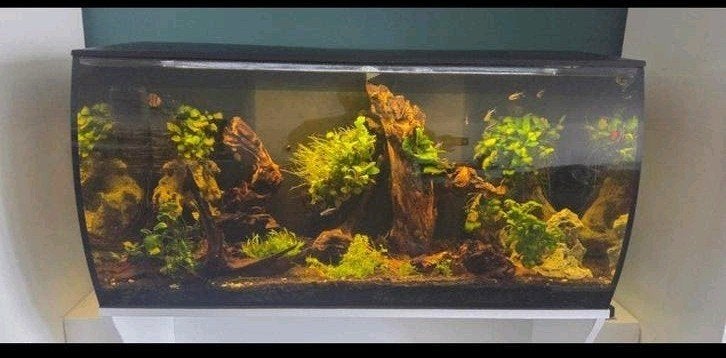 Fluval complete aquarium +/- 123 liter met kast, Dieren en Toebehoren, Ophalen, Gebruikt, Gevuld zoetwateraquarium, Fluval
