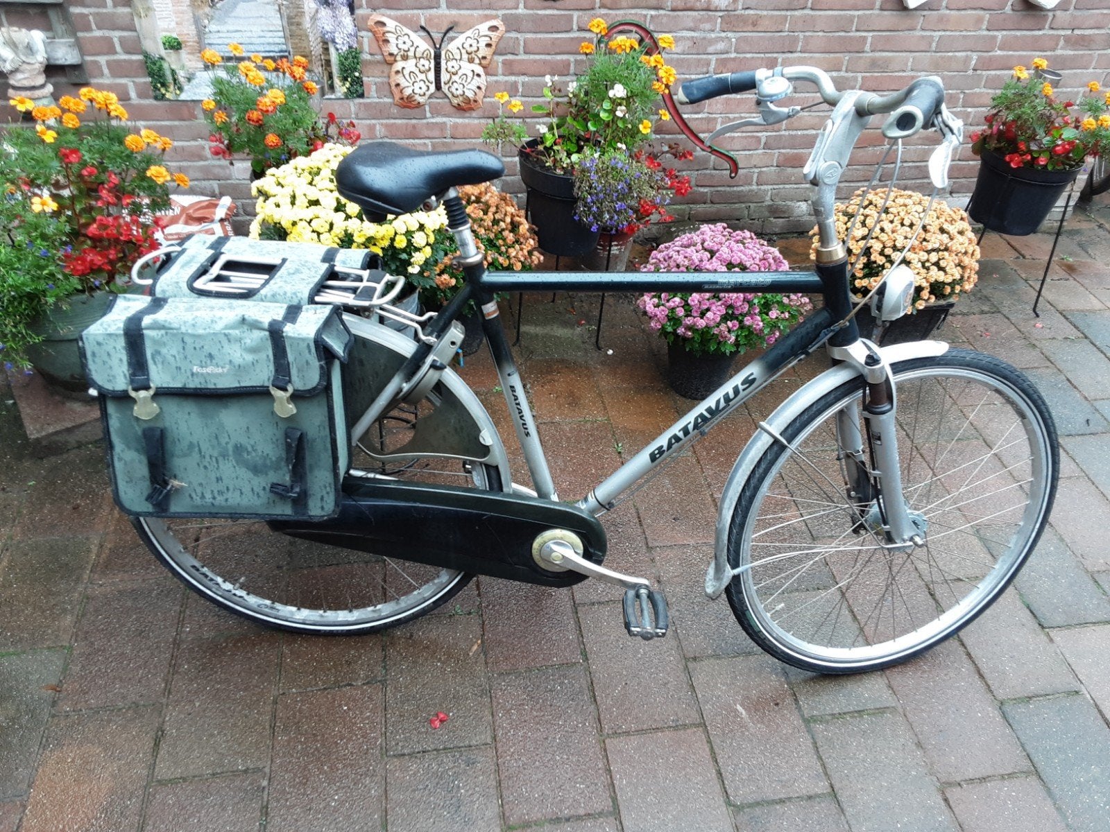 Batavus fiets met fietstassen, 57cm aluminium frame, Ophalen, Gebruikt, Velgrem, Versnellingen
