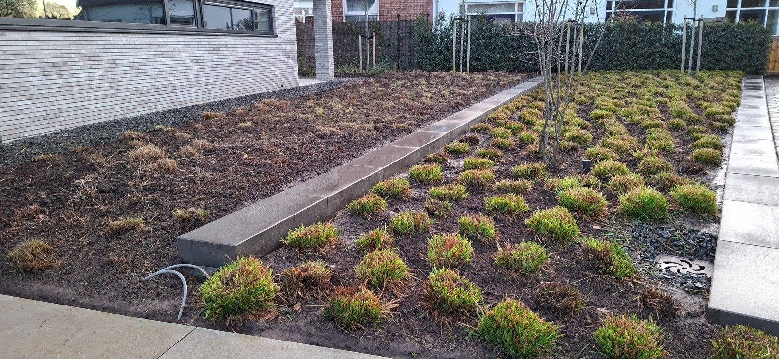 Siergras voor een natuurlijke en onderhoudsvriendelijke tuin, Ophalen, Siergrassen, Halfschaduw