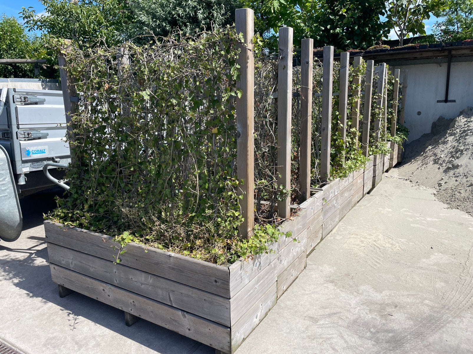 Plantenbak hout trellis  klimop moestuin, Ophalen of Verzenden, Zo goed als nieuw, Rechthoekig, Hout
