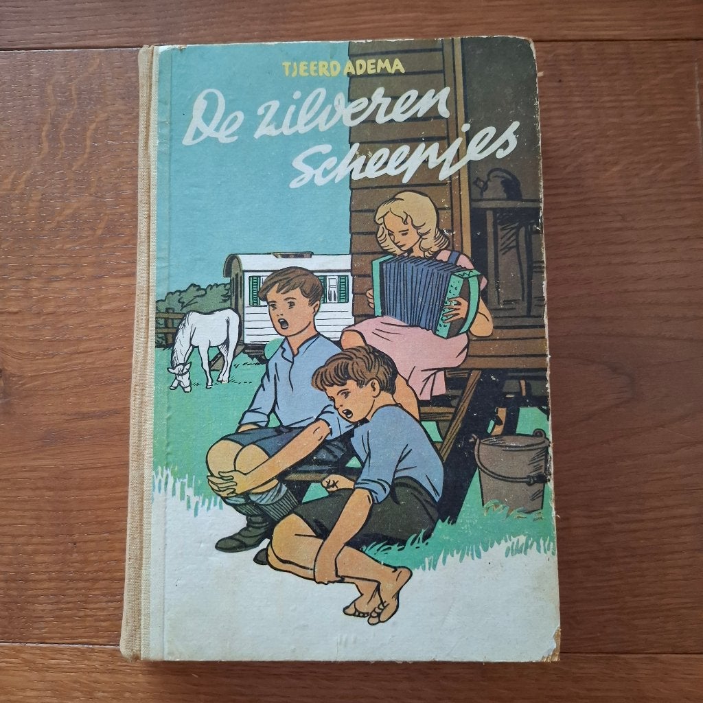 De zilveren scheepjes tjeerd adema, Boeken, Ophalen of Verzenden, Gelezen