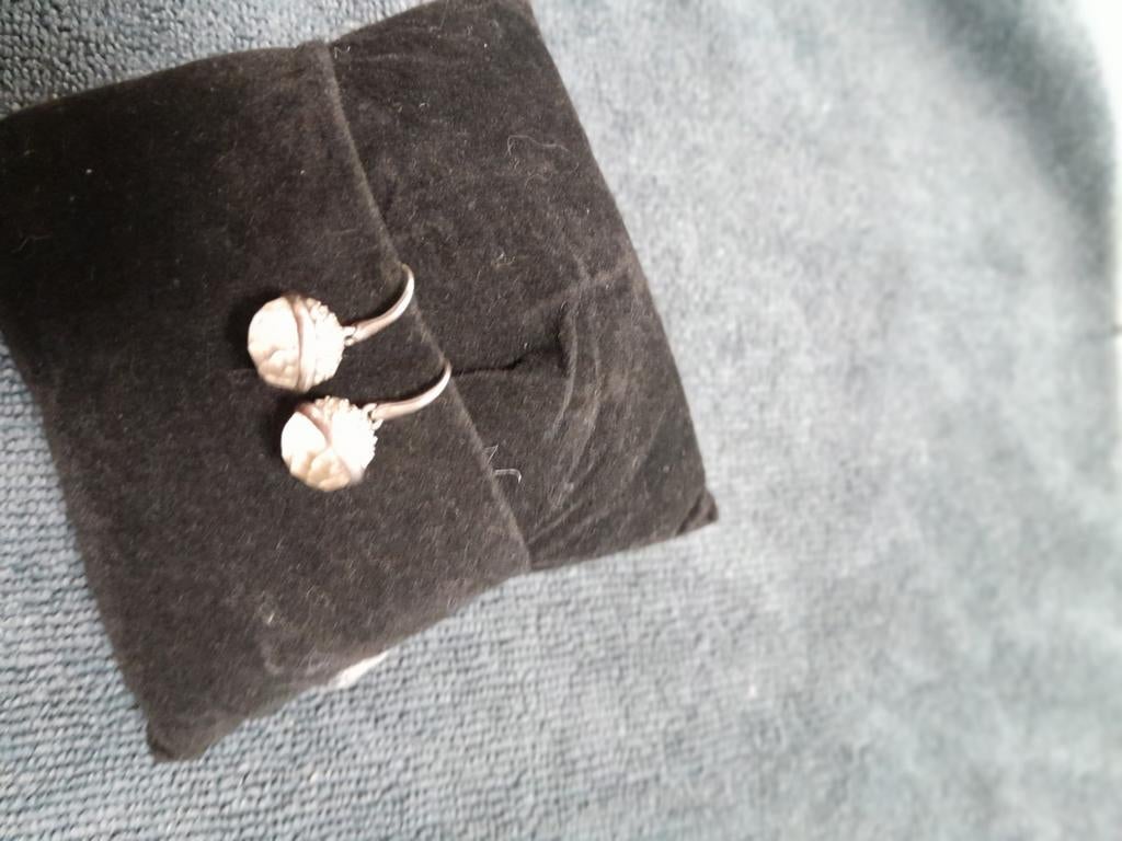 Oorbellen, Ophalen, Zo goed als nieuw, Zilver, Zilver