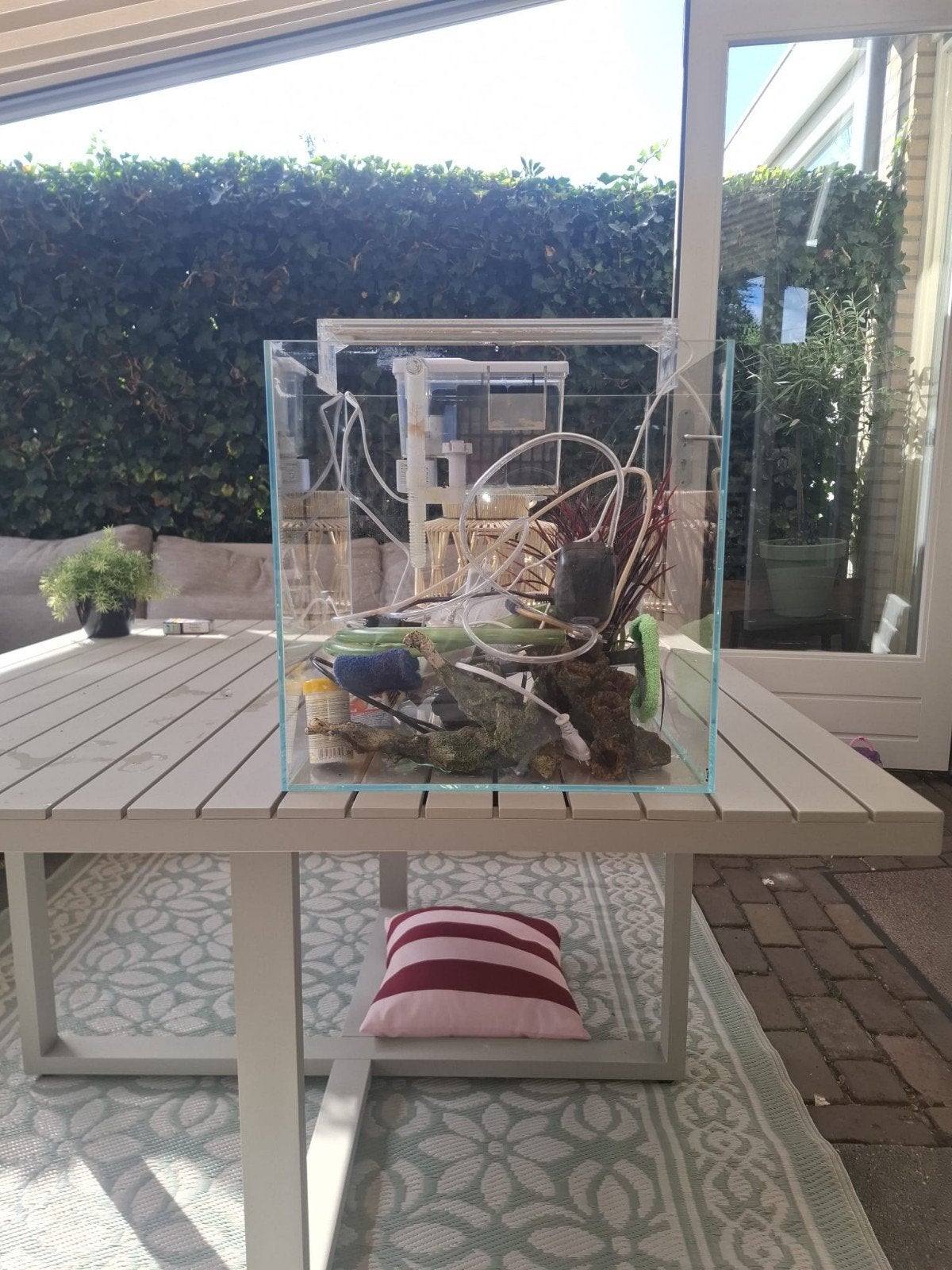 aquarium, Dieren en Toebehoren, Ophalen of Verzenden, Zo goed als nieuw