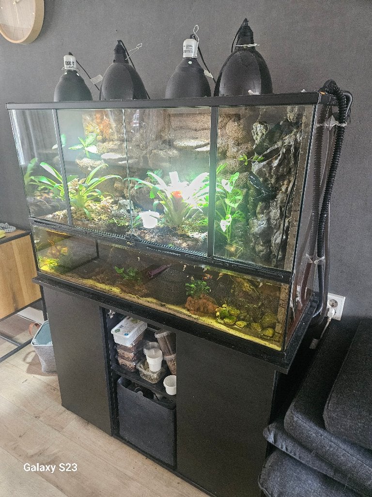 Paludarium inclusief inrichting, Ophalen, Gebruikt, Terrarium of Paludarium