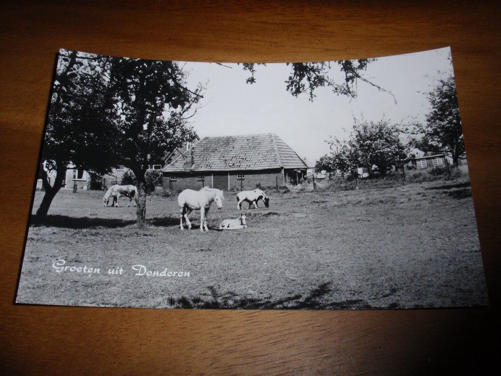 Donderen Boerderij en paarden, Verzenden, 1960 tot 1980, Ongelopen, Drenthe