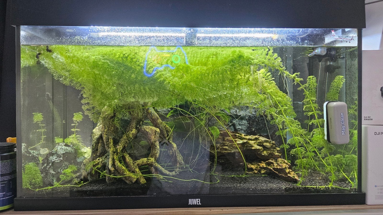 Aquarium met heel veel accesoires, Ophalen