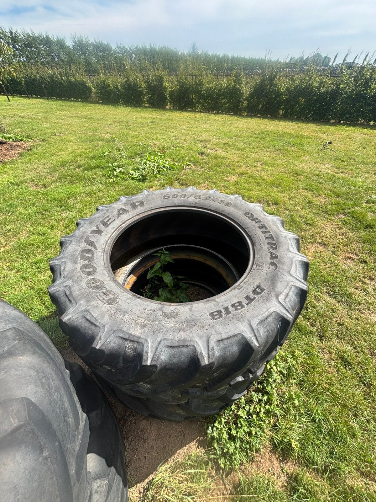 Goodyear 600/65r38, Zakelijke goederen, Agrarisch | Onderdelen | Banden, Velgen en Assen, Ophalen of Verzenden
