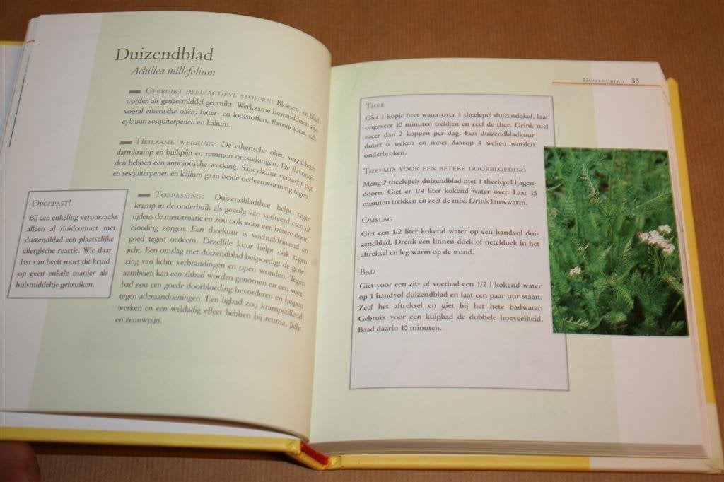 Dumonts kleine geneeskruiden lexicon, Ophalen of Verzenden, Zo goed als nieuw