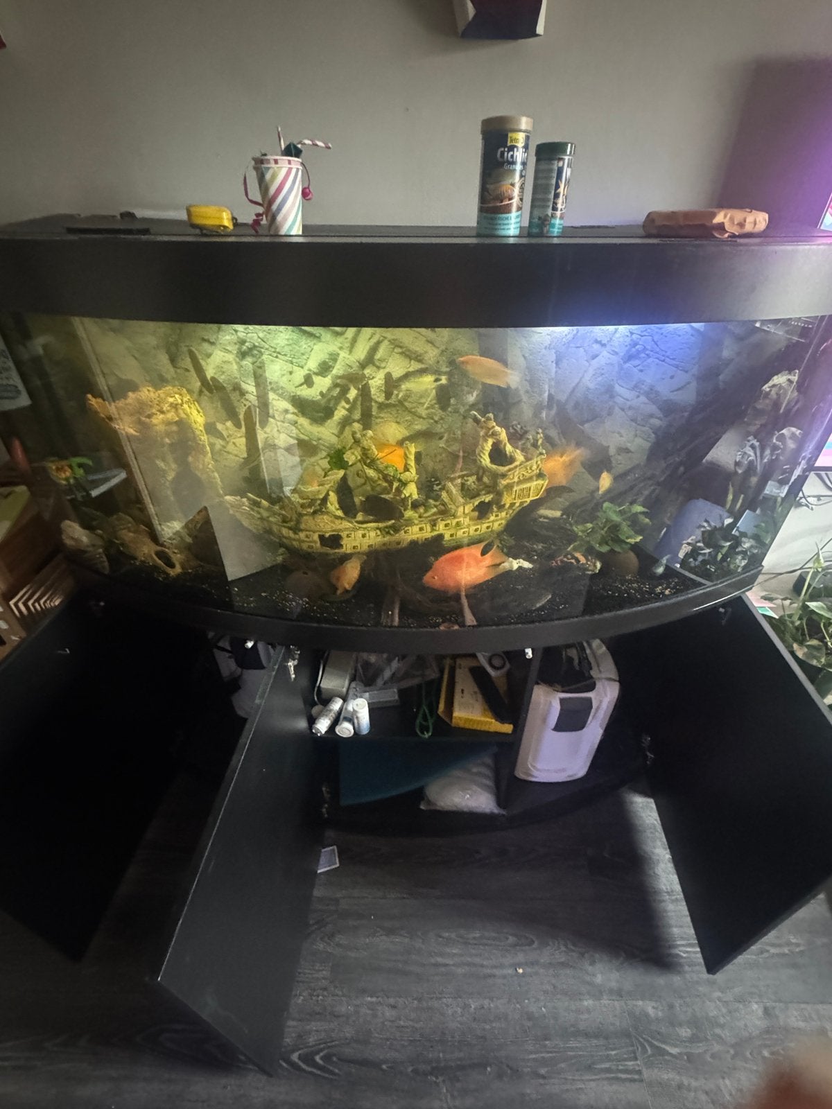 Juwel aquarium 450L, Dieren en Toebehoren, Ophalen, Zo goed als nieuw, Gevuld zoetwateraquarium
