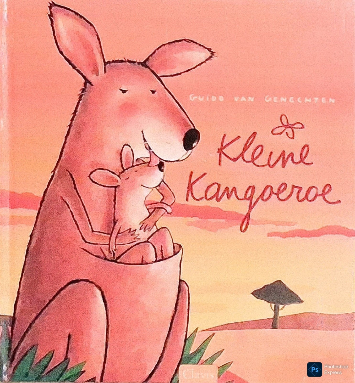 Kleine Kangoeroe, Gelezen, Fictie algemeen, Jongen of Meisje, Ophalen of Verzenden