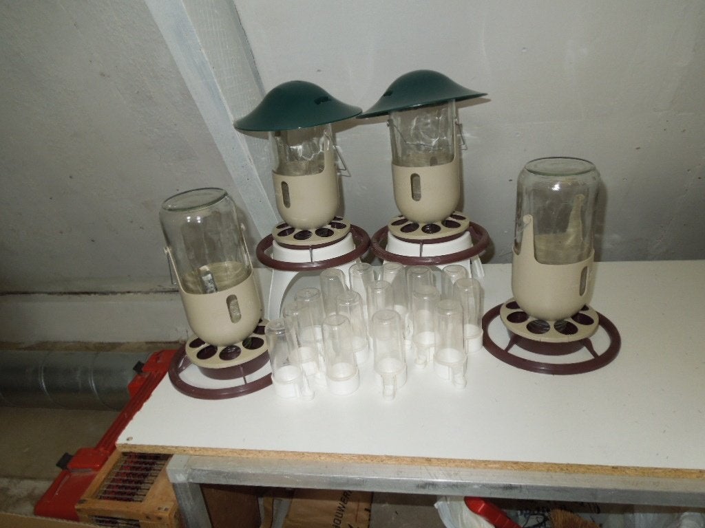 Voersilo's en waterflesjes, Meerdere dieren, Tropenvogel