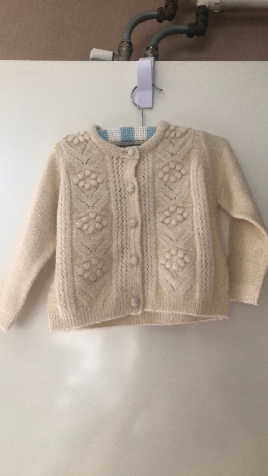 Vestje maat 74, Kinderen en Baby's, Ophalen, Zo goed als nieuw, Meisje, Truitje of Vestje