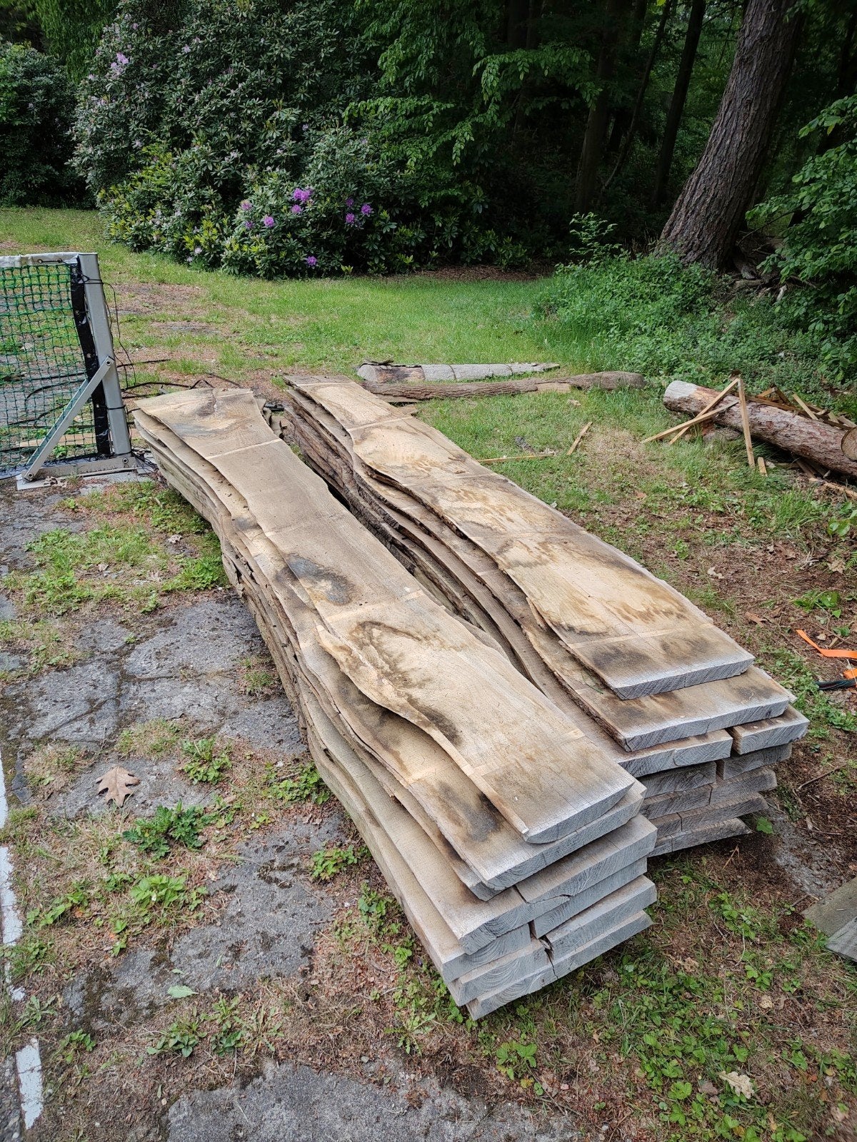 2 stammen essen, fsc landgoed Duno, Doe-het-zelf en Verbouw, Hout en Planken, 25 tot 50 mm, Nieuw, Ophalen of Verzenden, Plank