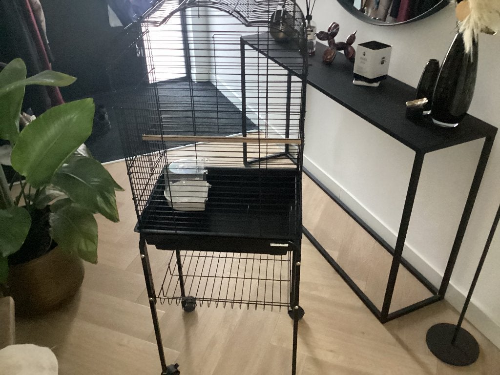 Vogelkooi, Dieren en Toebehoren, Ophalen, Zo goed als nieuw, Metaal, Vogelkooi