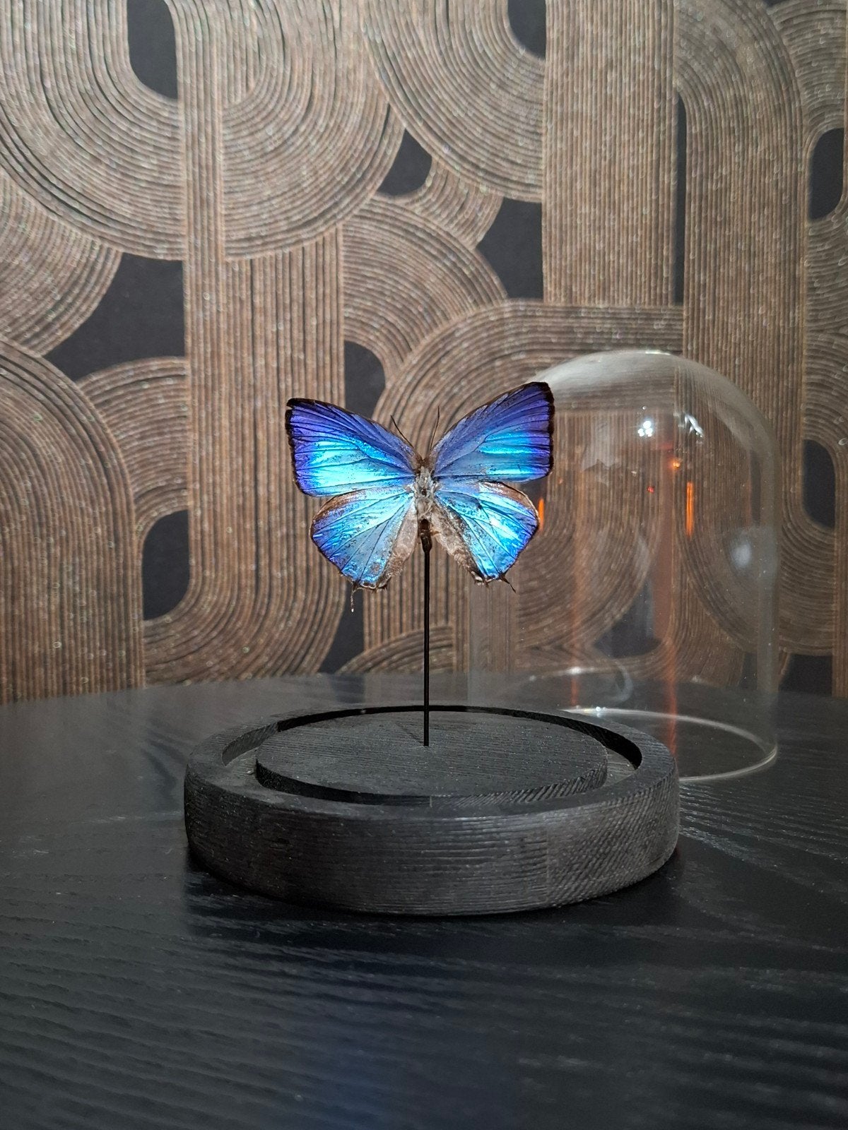 Vlinderstolp met prachtige blauwe vlinder, Ophalen of Verzenden, Zo goed als nieuw, Blauw, Glas