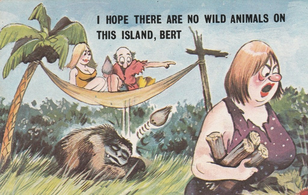 Ansichtkaart, Engelse humor, wild animals  (347), Verzenden, 1980 tot heden, Overige thema's