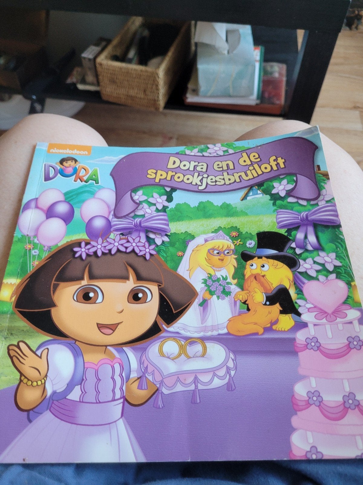 Dora de Explorer Boeken Collectie (18 stuks), Ophalen of Verzenden, Gelezen, Nickelodeon, Fictie algemeen