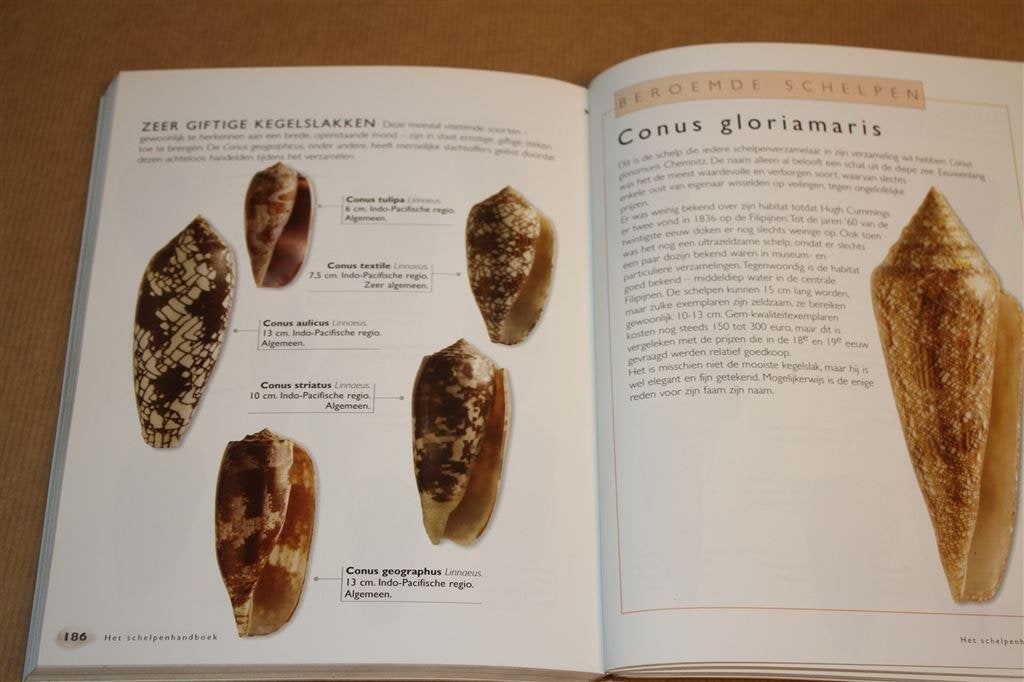 Het schelpen handboek., Verzenden, Schelp(en)