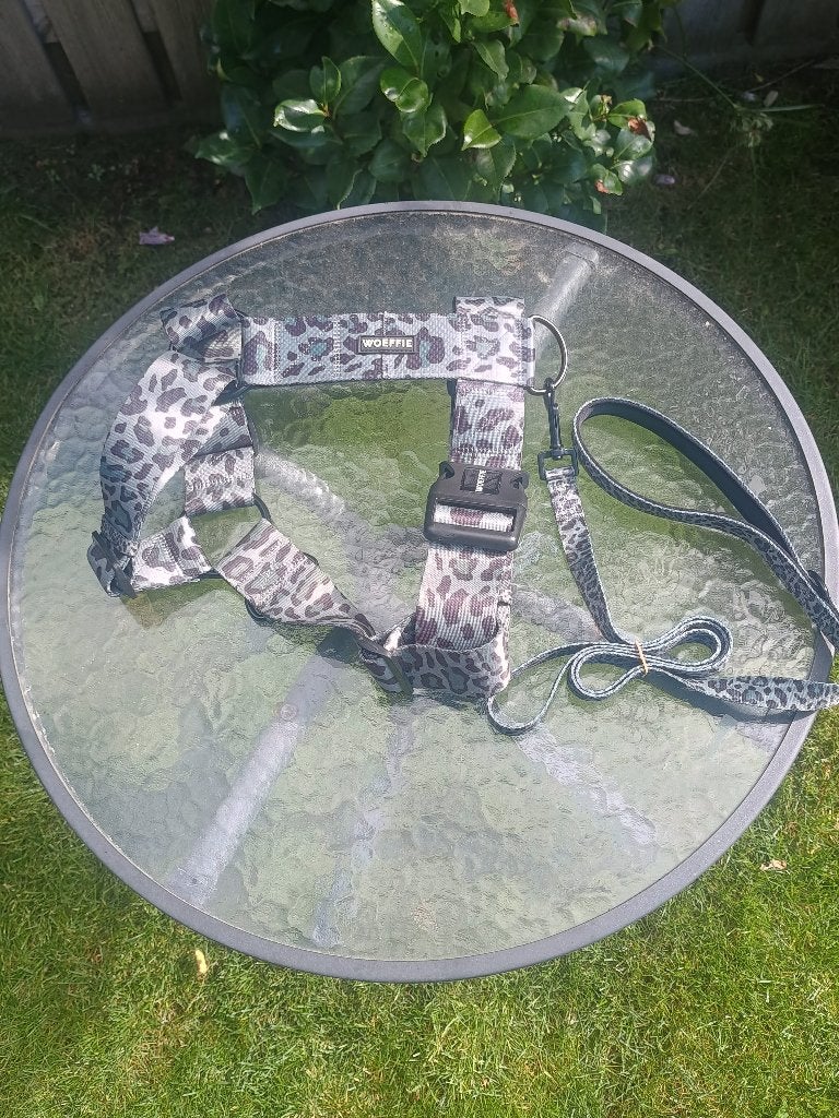 Te koop nieuw Woeffie honden tuig, Dieren en Toebehoren, Overige merken, Ophalen of Verzenden, Nieuw, Hondentuig