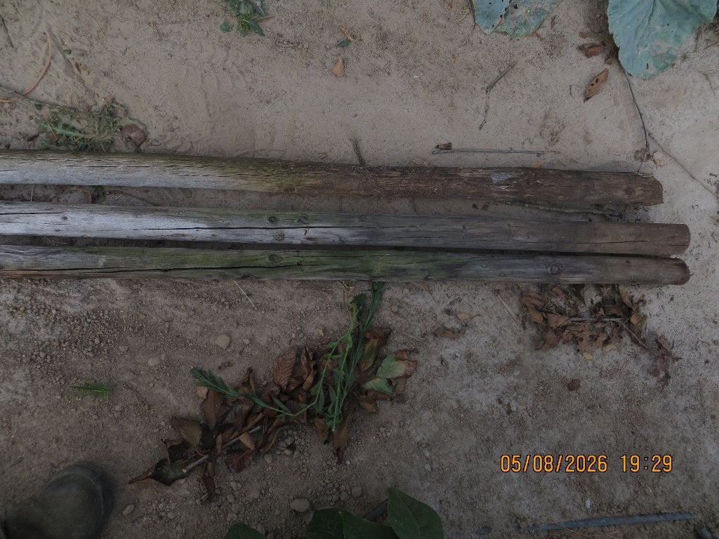 50 stuks boompalen, Ophalen, Gebruikt, 250 cm of meer, Palen