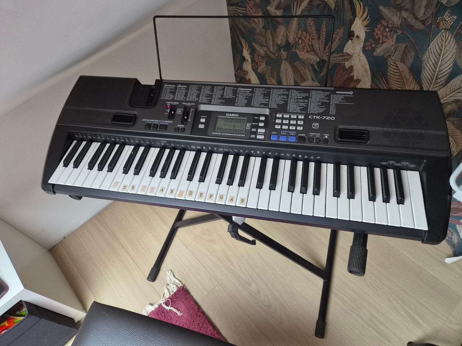 Casio CTK-720 Keyboard met standaard en krukje, Muziek en Instrumenten, Ophalen, Casio, Midi-aansluiting, 61 toetsen
