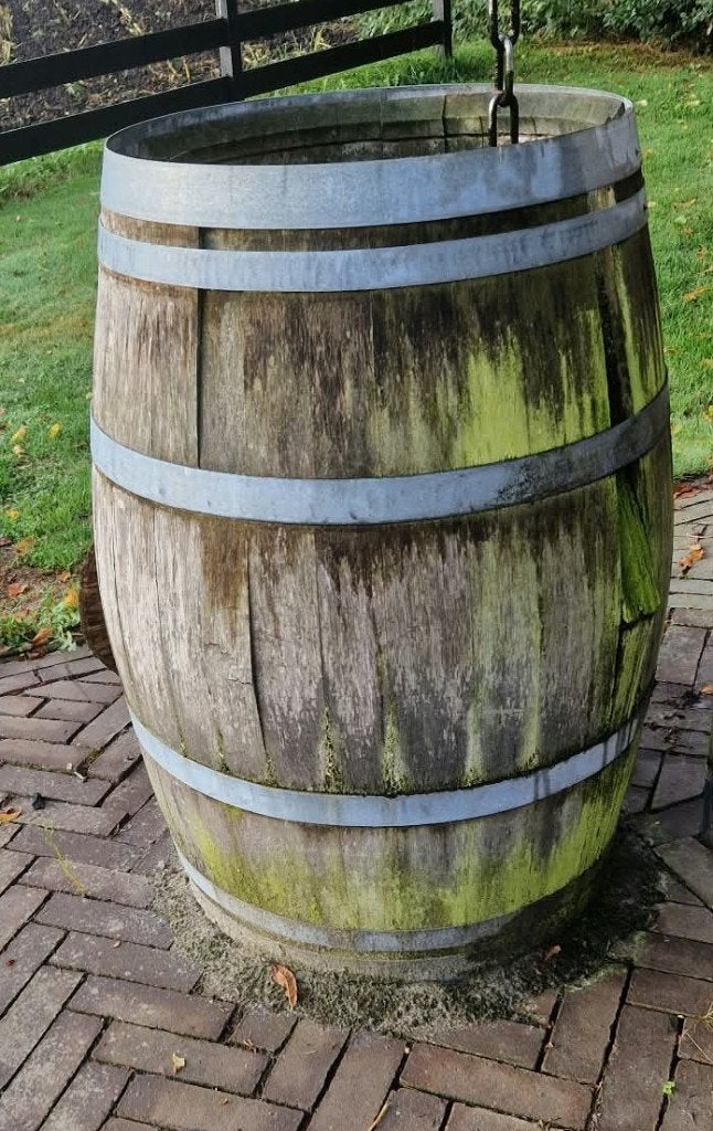 regenton, Tuin en Terras, 150 liter of meer, Ophalen, Gebruikt, Hout