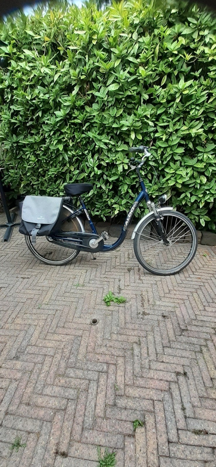 Aldo lage opstapfiets, Velgrem, 47 tot 50 cm, Ophalen, Overige merken