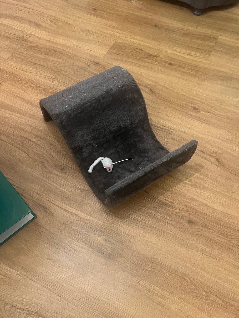 Krabpaal voor katten, Ophalen, Gebruikt, Krabpaal