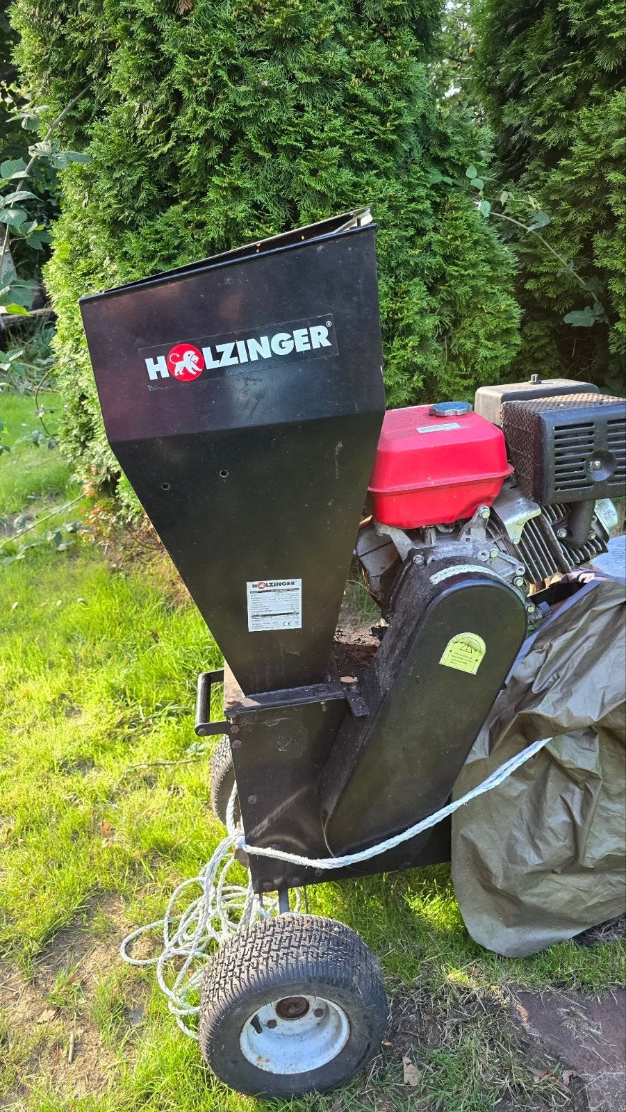 Holzinger takkenversnipperaar met benzinemotor - als nieuw, Ophalen