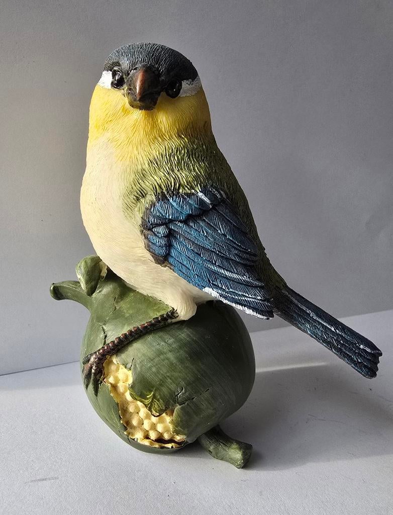 Pimpelmees, Ophalen of Verzenden