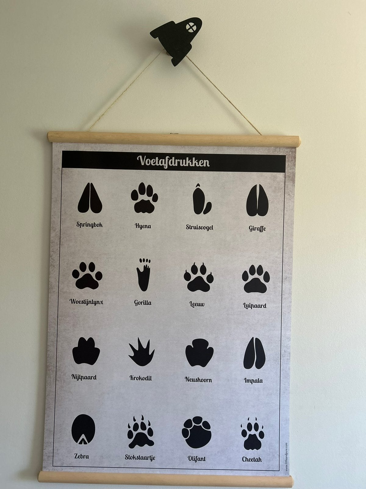Schoolplaat The big five / voetafdrukken, Ophalen of Verzenden, Nieuw, Wanddecoratie