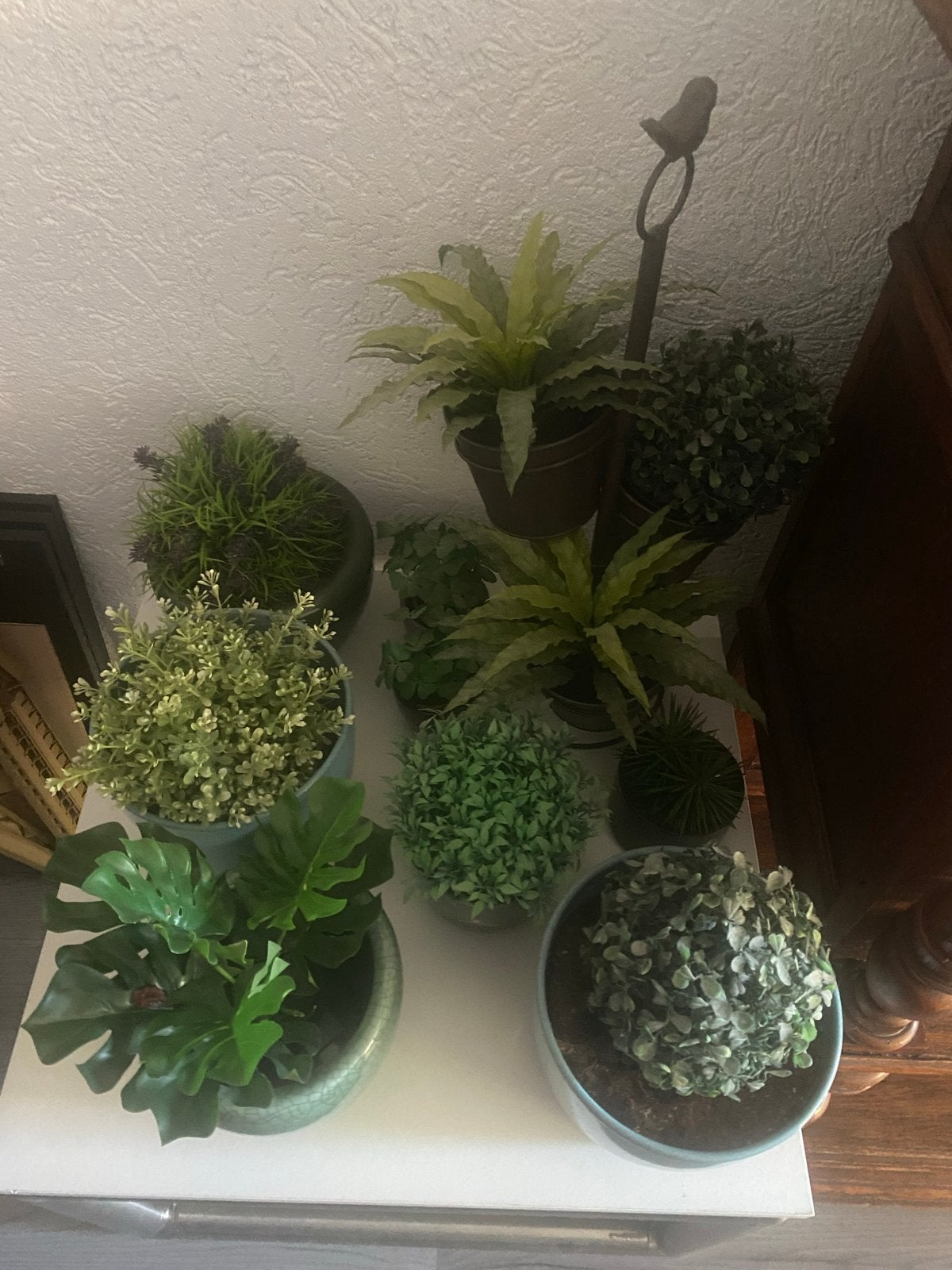 Grote collectie kunstplanten met potten en vogelstandaard, Ophalen, Binnen, Inclusief accessoires, Kunstplant