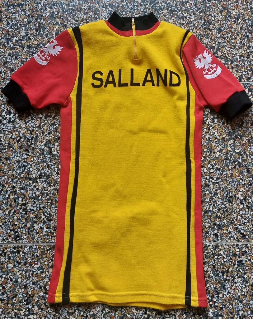 Vintage wielershirt Salland Deventer adelaar retro, Ophalen of Verzenden, Gebruikt, Kleding