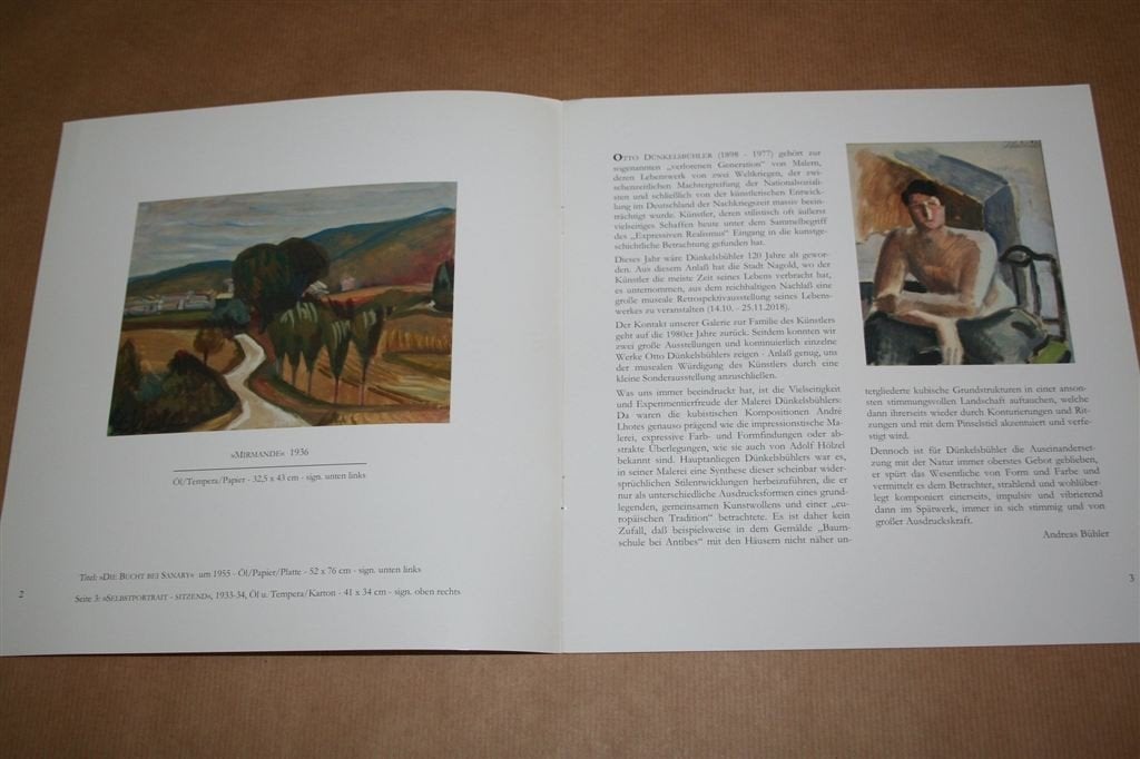 Kunsthaus Bühler. Otto Dünkelsbühler. Catalogus 2018., Ophalen of Verzenden, Zo goed als nieuw