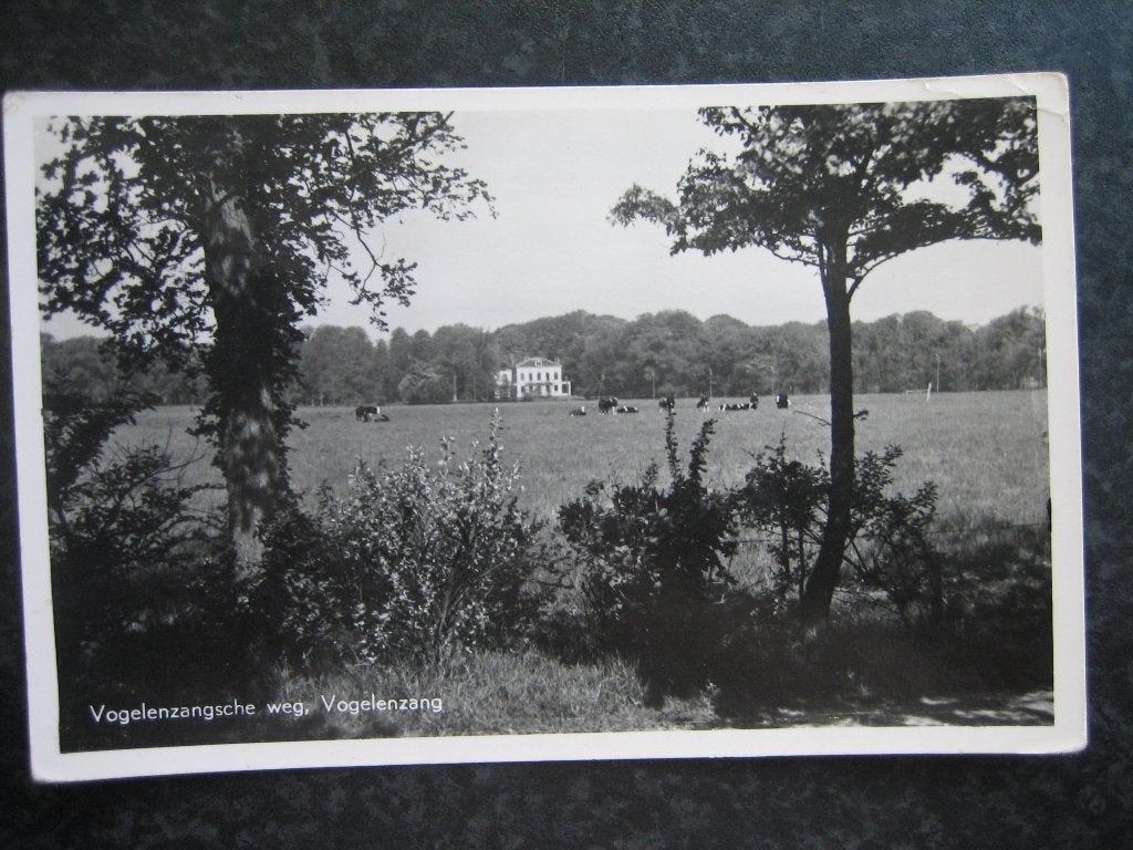 VOGELENZANG Vogelenzangscheweg, Ophalen of Verzenden, 1940 tot 1960, Gelderland