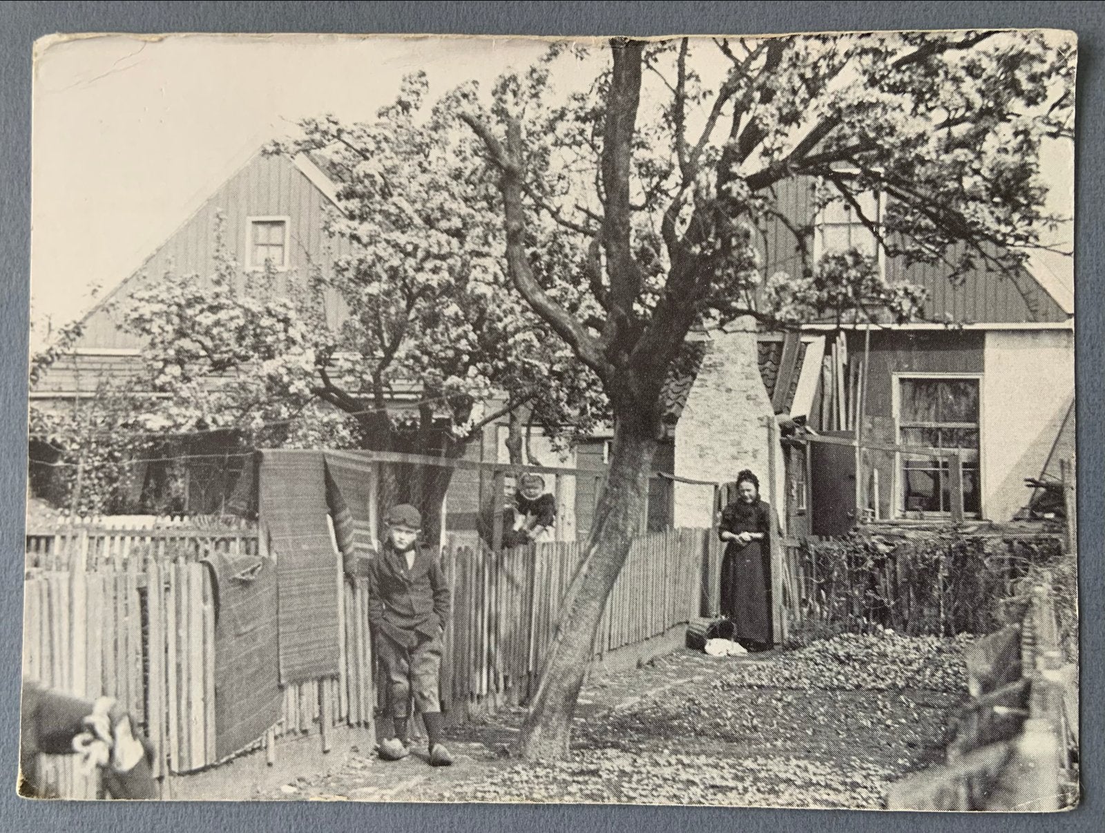 Bloemkwekerij Vis aan het Ververspad, 1895 herdruk, Verzenden, Voor 1920, Gelopen