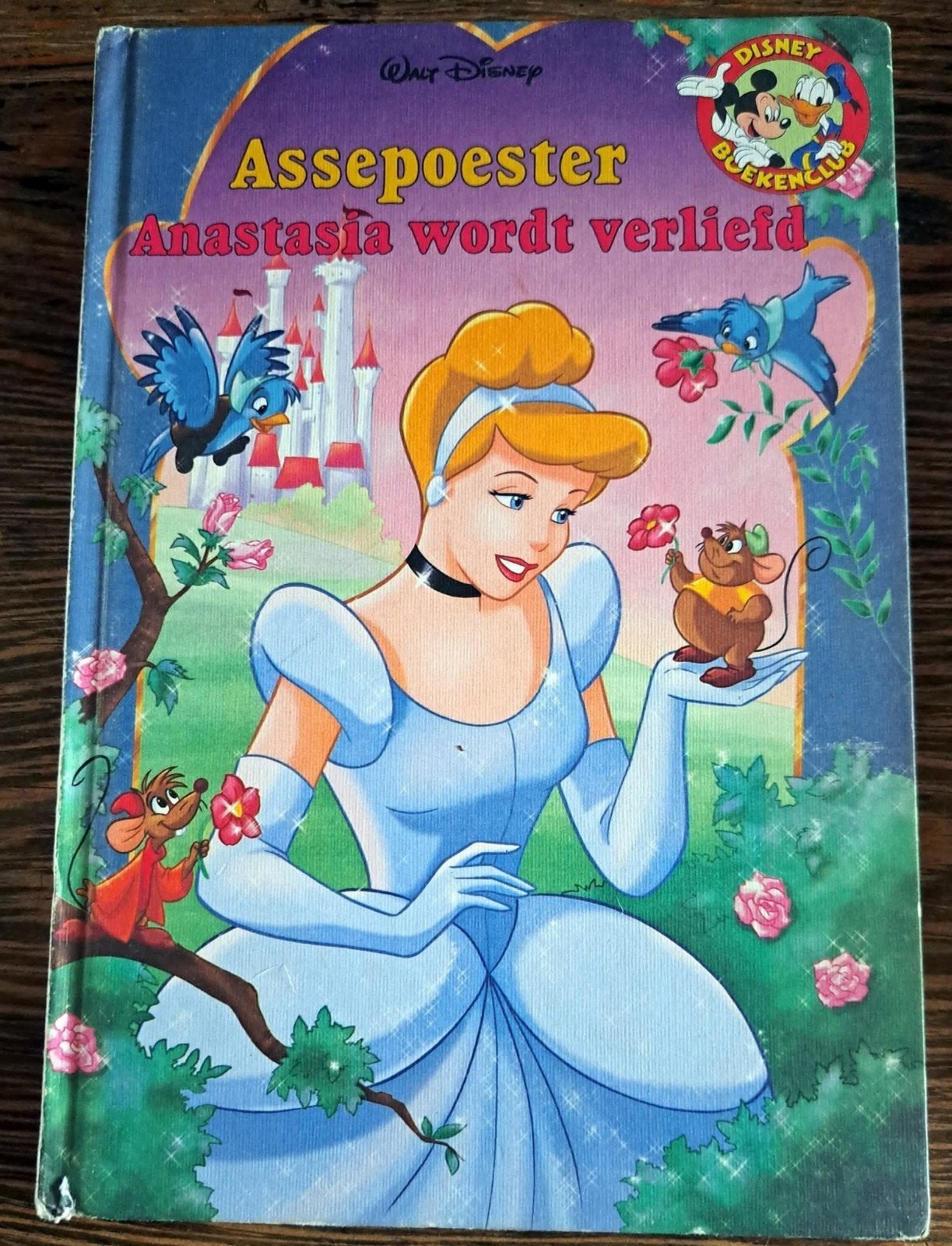 6 Disney boeken voor € 0,75 per stuk, Ophalen of Verzenden, Overige figuren, Gebruikt, Overige typen