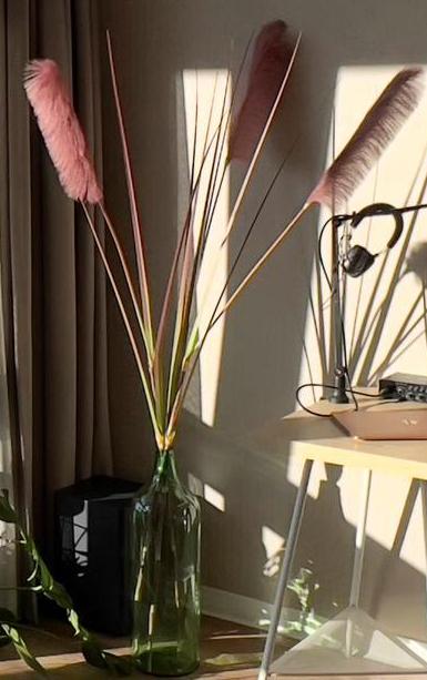 Decoratieve pluimen in glazen vaas, Ophalen, Overige kleuren, 75 cm of meer, Glas