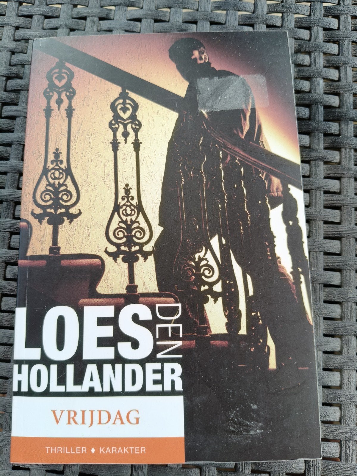 Vrijdag - Loes den Hollander (Thriller), Gelezen, Loes den Hollander, Ophalen of Verzenden, Nederland