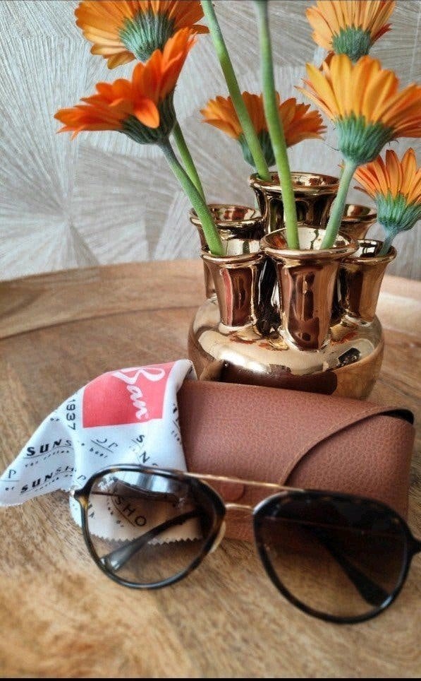 Ray-Ban zonnebril met etui en doekje, Ophalen of Verzenden