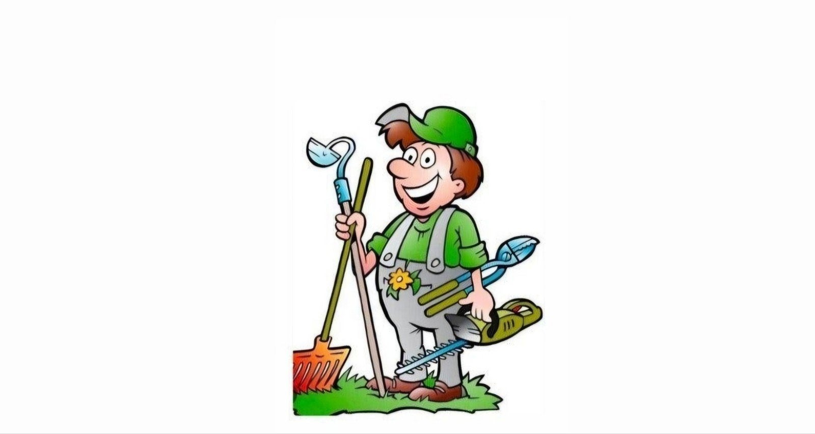 goedkoopste tuinman, Ophalen of Verzenden, Zo goed als nieuw