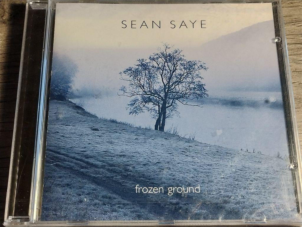 Sean Saye - Frozen Ground, Ophalen of Verzenden, Zo goed als nieuw, Poprock