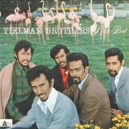LP Tielman Brothers - Little bird, Ophalen, LP, Gebruikt, 12 inch