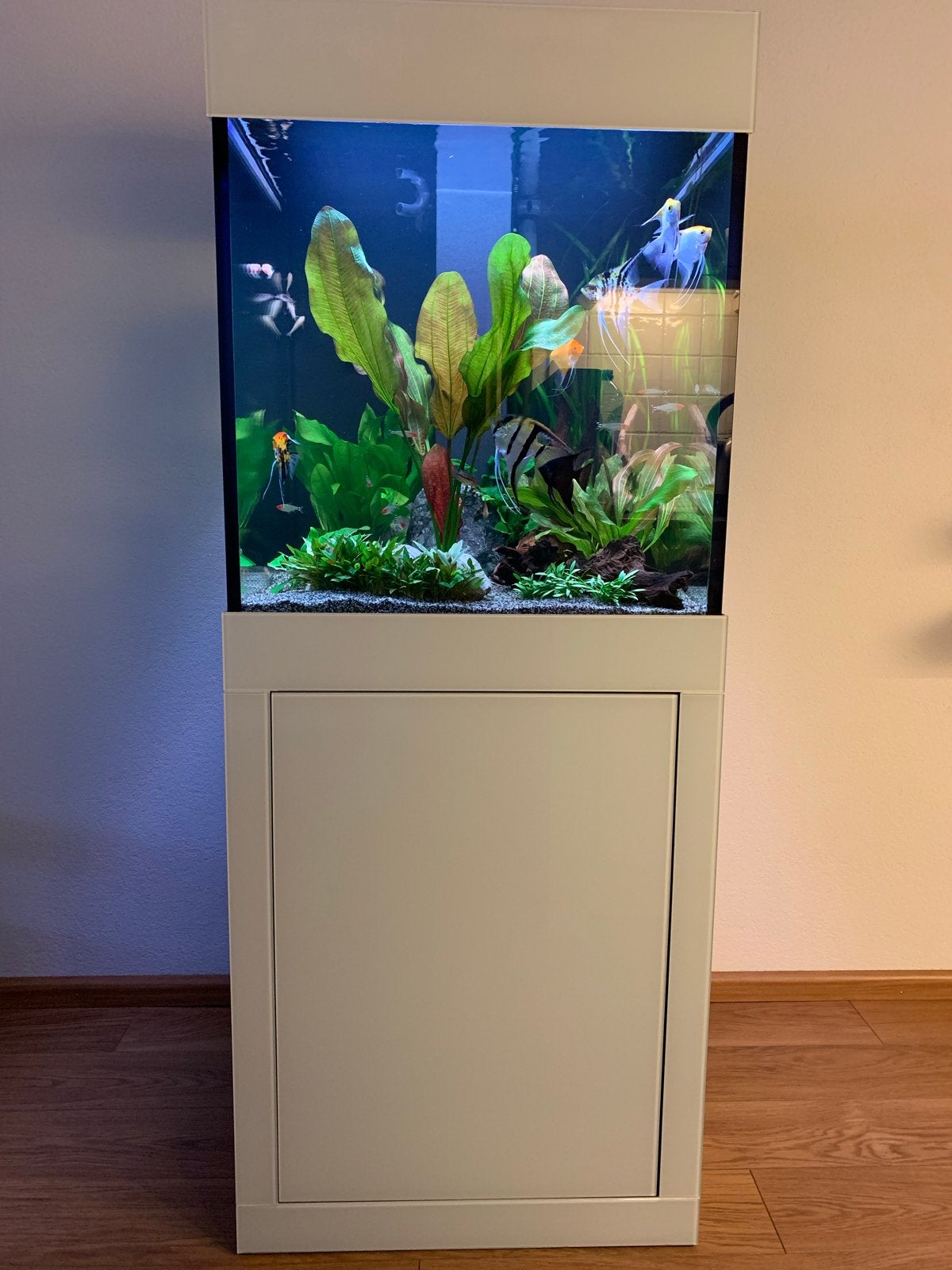 Aqualife lacobel cube, Ophalen, Gebruikt, Gevuld zoetwateraquarium, Overige merken